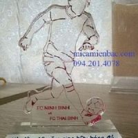 kỷ niệm chương mica