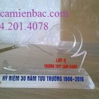 kỷ niệm chương mica