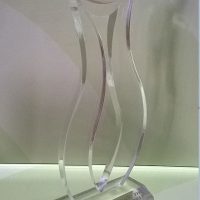 kỷ niệm chương mica