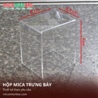hop-trung-bay