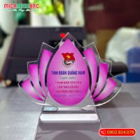Kỷ niệm chương tuyên dương