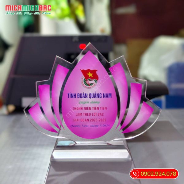 Kỷ niệm chương tuyên dương